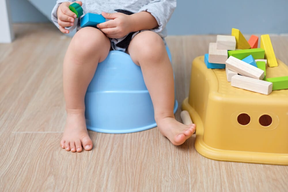 In-Home Potty Training